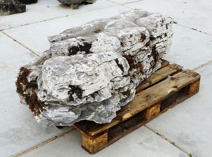 Buy Irish Coastal Limestone, Ornamental Rock for sale - YO06020093