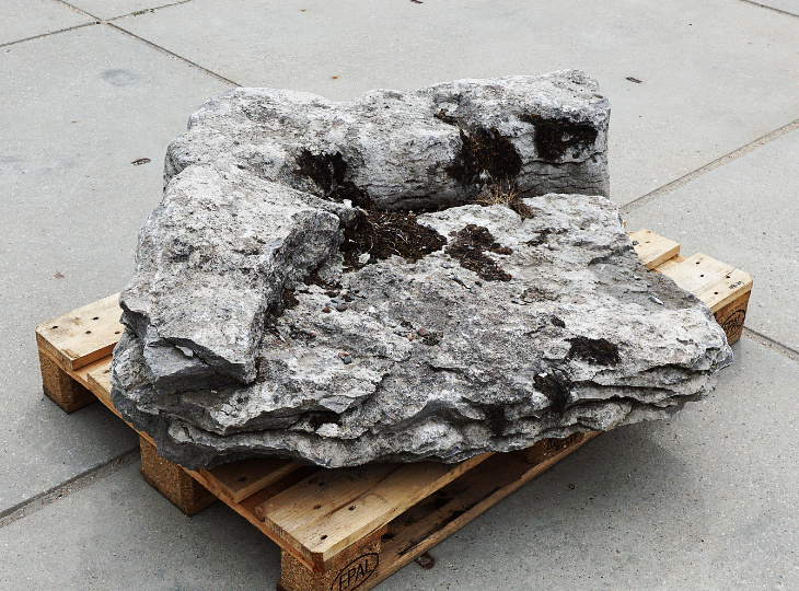 Buy Irish Coastal Limestone, Ornamental Rock for sale - YO06020098