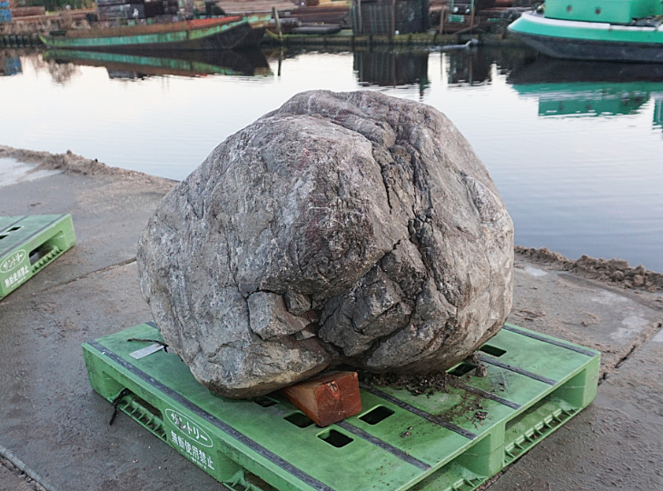 Buy Sanbaseki Stone, Japanese Ornamental Rock for sale - YO06010198
