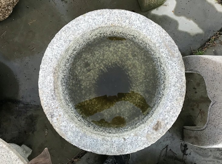 Enchū Chōzubachi, Japanese Tsukubai Water Basin - YO03010082