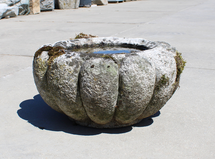Buy Kiku Chozubachi, Japanese Tsukubai Water Basin for sale - YO03010361