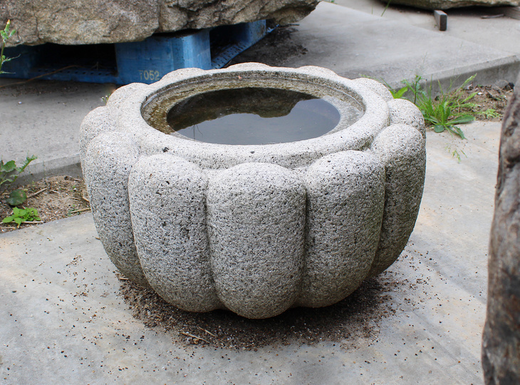 Kiku Chozubachi, Japanese Tsukubai Water Basin - YO03010387