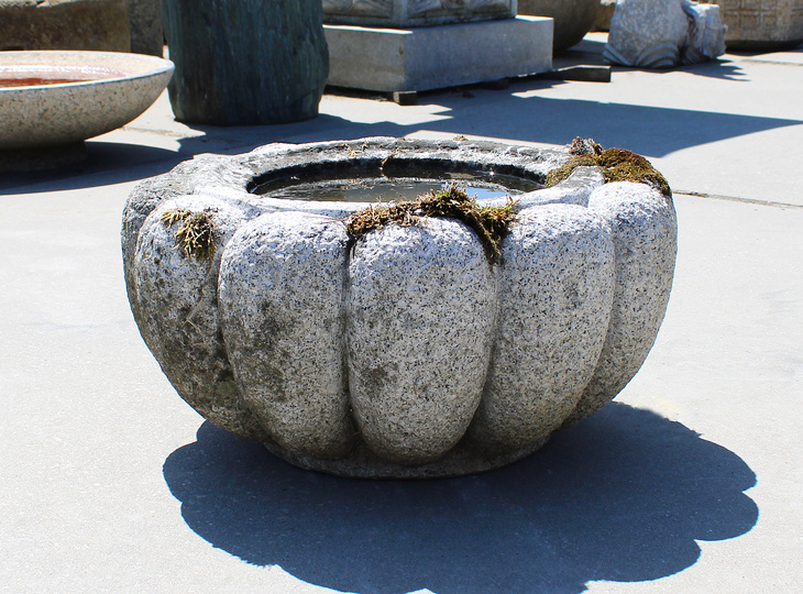 Kiku Chozubachi, Japanse Tsukubai Waterornament - YO03010361