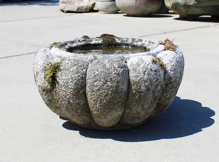 Kiku Chozubachi, Japanse Tsukubai Waterornament - YO03010361