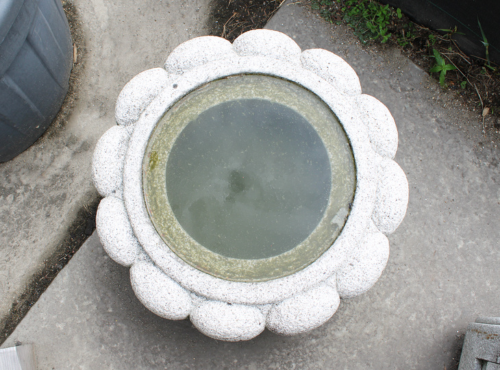 Kiku Chozubachi, Japanse Tsukubai Waterornament - YO03010409