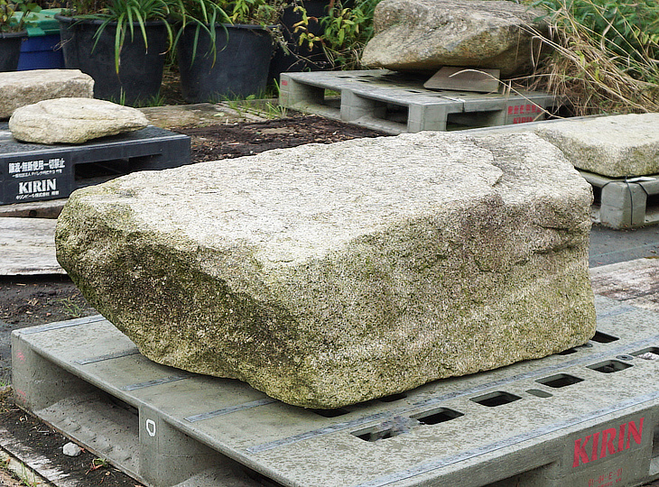 Hirukawa Kutsunugi-ishi, Japanese Stepping Stone - YO05010048