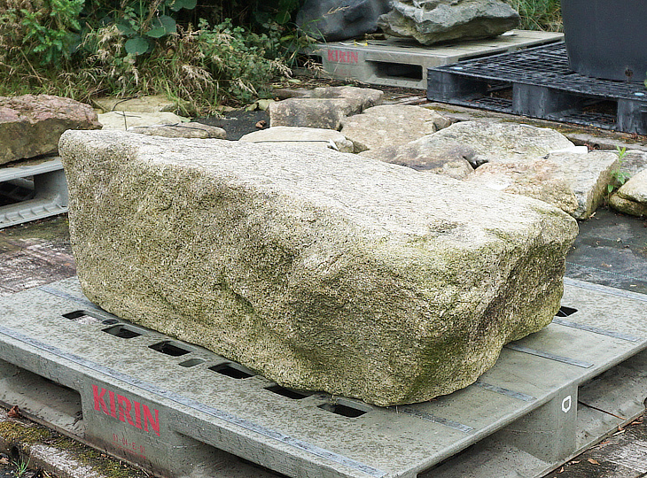 Hirukawa Kutsunugi-ishi, Japanese Stepping Stone - YO05010048