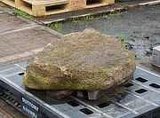 Buy Hirukawa Stepping Stone, Japanese Stepping Stone for sale - YO05010051