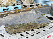 Buy Ibigawa Kutsunugi-ishi, Japanese Stepping Stone for sale - YO05010042