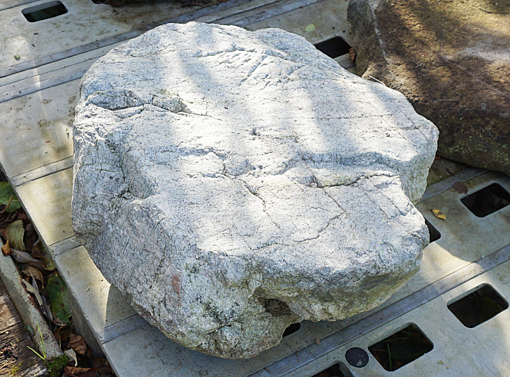 Ibigawa Stepping Stone, Japanese Stepping Stone - YO05010004