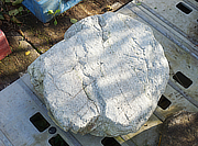 Buy Ibigawa Stepping Stone, Japanese Stepping Stone for sale - YO05010004