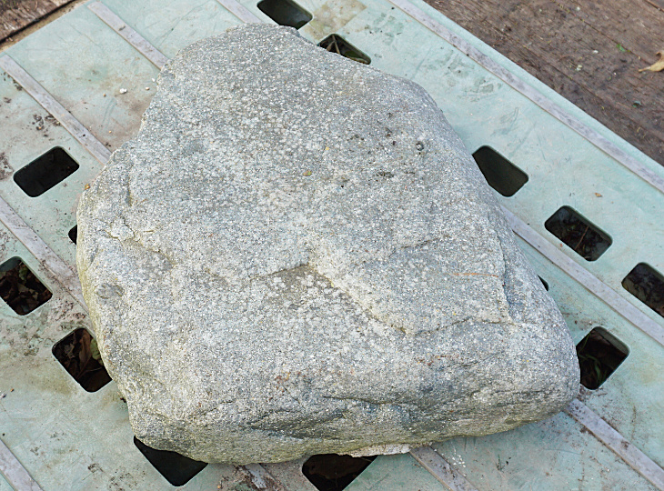 Ibigawa Stepping Stone, Japanese Stepping Stone - YO05010006