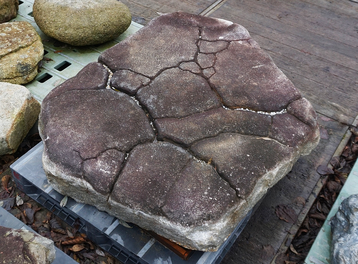 Kikkou Seki Kutsunugi-ishi, Japanese Stepping Stone - YO05010032