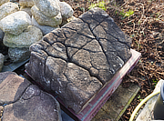 Buy Kikkou Seki Kutsunugi-ishi, Japanese Stepping Stone for sale - YO05010053