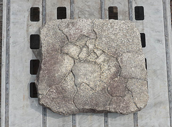 Kikkou Seki Stepping Stone, Japanese Stepping Stone - YO05010039