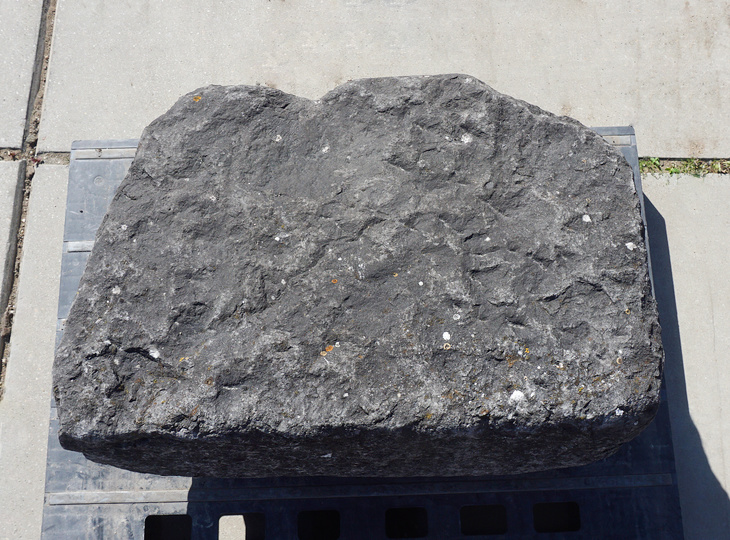 Kutsunugi-ishi, Large European Stepping Stone - YO05020018
