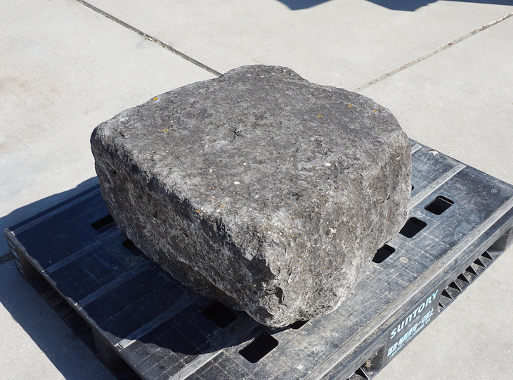 Kutsunugi-ishi, Large European Stepping Stone - YO05020019