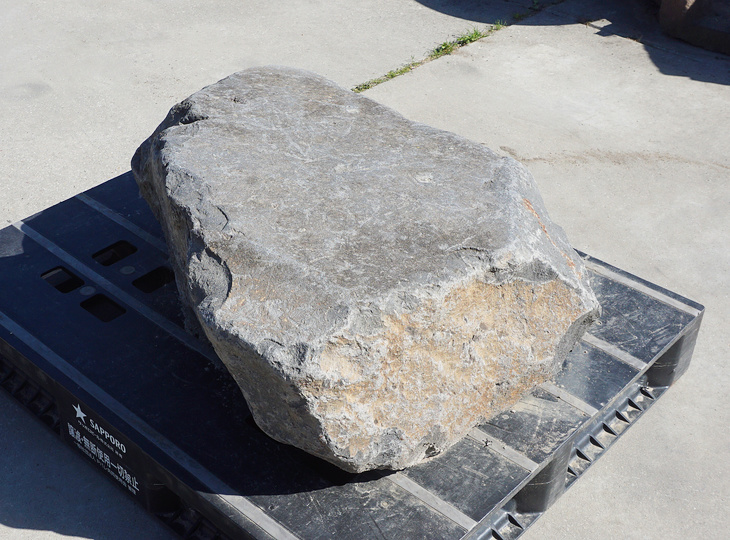 Kutsunugi-ishi, Large European Stepping Stone - YO05020020