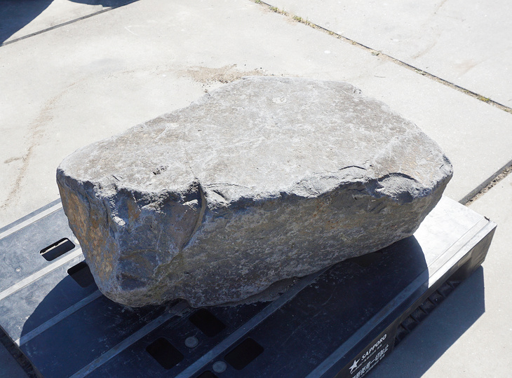Kutsunugi-ishi, Large European Stepping Stone - YO05020020