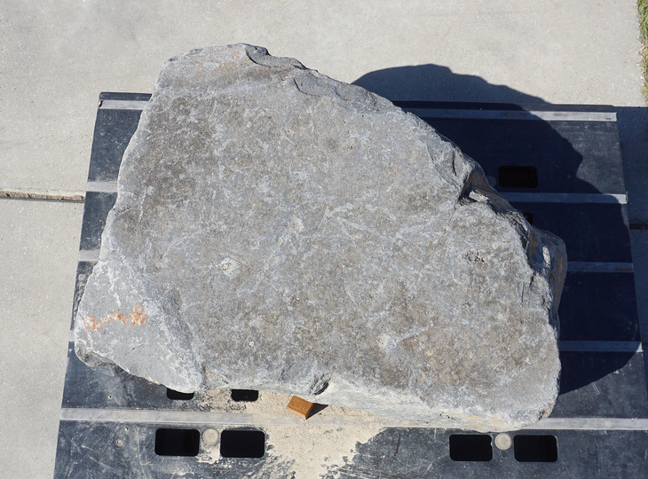 Kutsunugi-ishi, Large European Stepping Stone - YO05020020