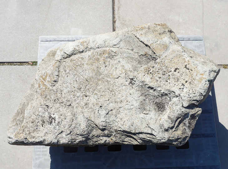 Kutsunugi-ishi, Large European Stepping Stone - YO05020021