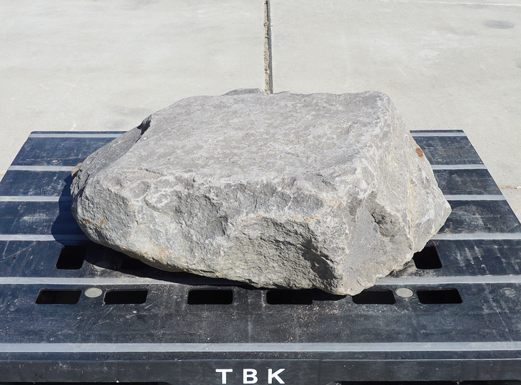 Buy Kutsunugi-ishi, Large European Stepping Stone for sale - YO05020022