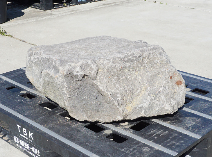 Kutsunugi-ishi, Large European Stepping Stone - YO05020022