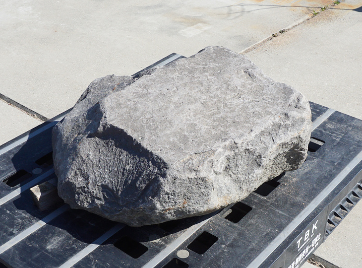 Kutsunugi-ishi, Large European Stepping Stone - YO05020022