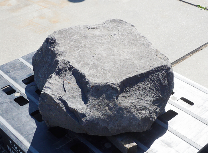 Kutsunugi-ishi, Large European Stepping Stone - YO05020022