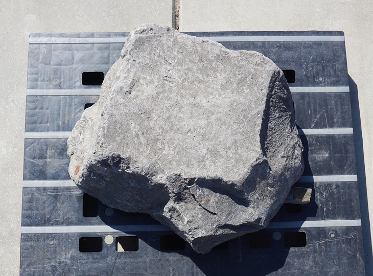 Kutsunugi-ishi, Large European Stepping Stone - YO05020022