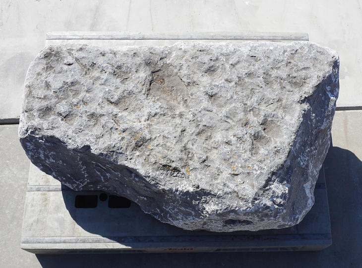 Kutsunugi-ishi, Large European Stepping Stone - YO05020023