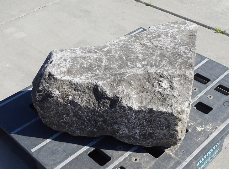 Kutsunugi-ishi, Large European Stepping Stone - YO05020024