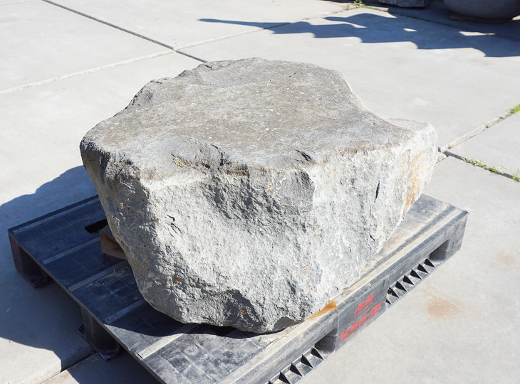 Kutsunugi-ishi, Large European Stepping Stone - YO05020025