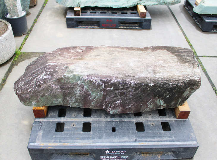 Shikoku Kutsunugi-ishi, Japanese Stepping Stone - YO05010156