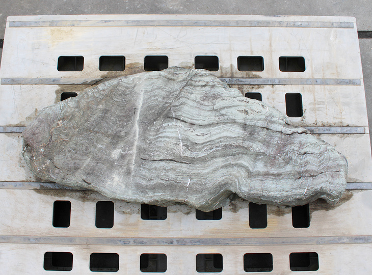 Shikoku Kutsunugi-ishi, Japanese Stepping Stone - YO05010162