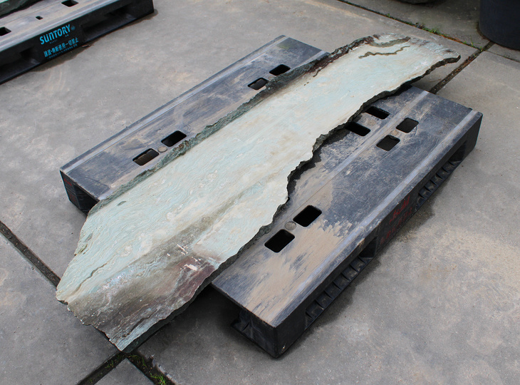 Shikoku Kutsunugi-ishi, Japanese Stepping Stone - YO05010165