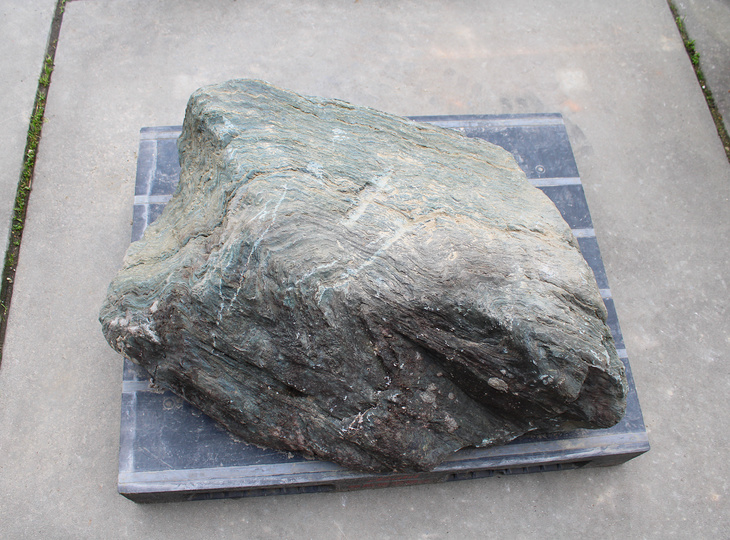 Shikoku Kutsunugi-ishi, Japanese Stepping Stone - YO05010168