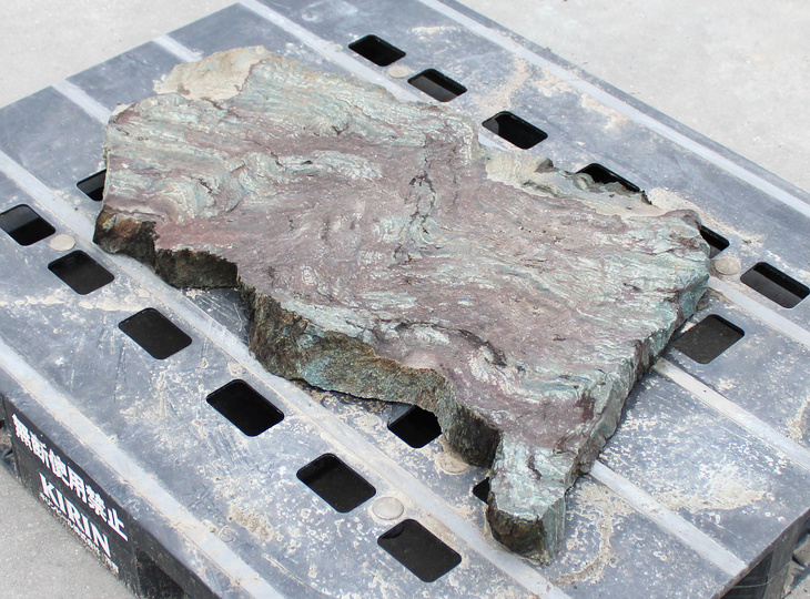 Shikoku Kutsunugi-ishi, Japanese Stepping Stone - YO05010171