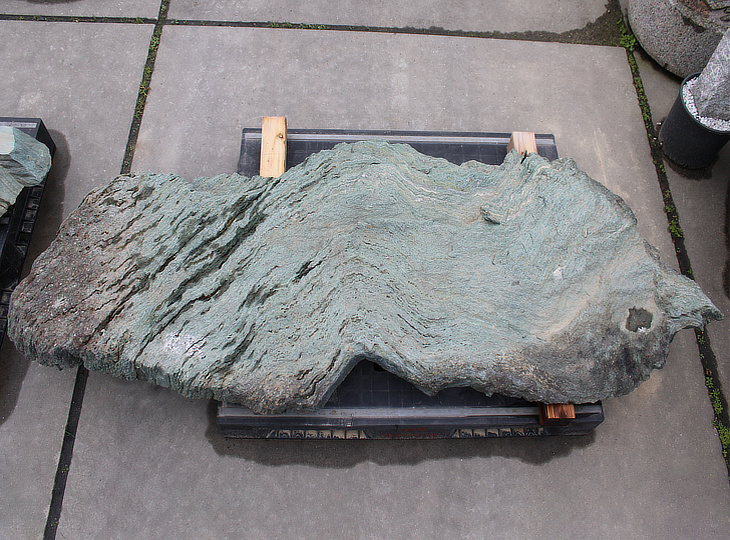 Shikoku Kutsunugi-ishi, Japanse Stapsteen - YO05010158