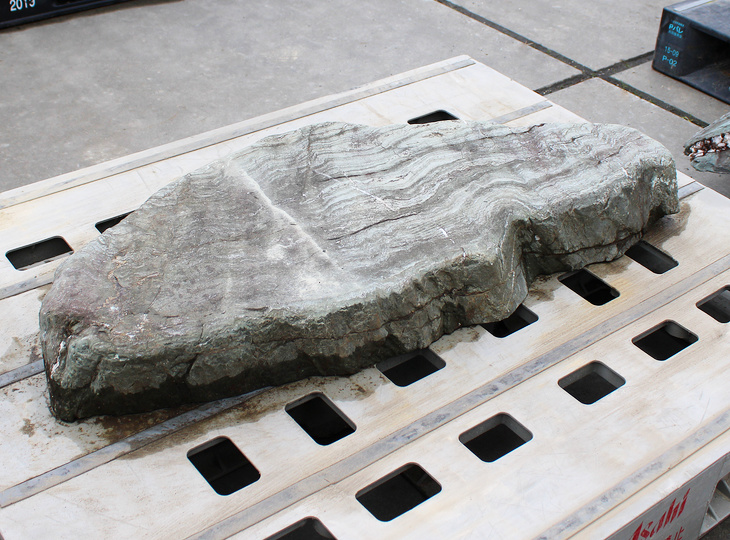 Shikoku Kutsunugi-ishi, Japanse Stapsteen - YO05010162