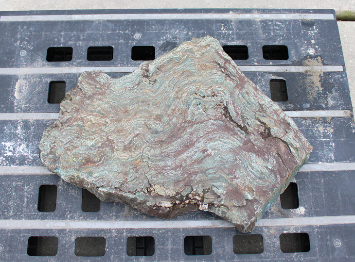 Shikoku Kutsunugi-ishi, Japanse Stapsteen - YO05010170