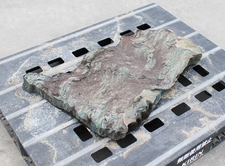 Shikoku Kutsunugi-ishi, Japanse Stapsteen - YO05010171