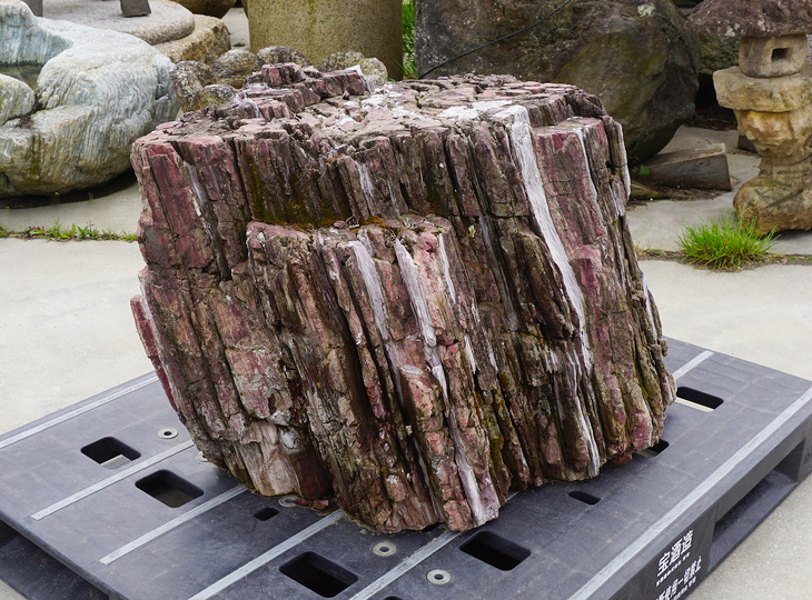 Akairo Ketsugan Stone, Japanese Ornamental Rock - YO06010557