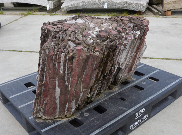 Akairo Ketsugan Stone, Japanese Ornamental Rock - YO06010557