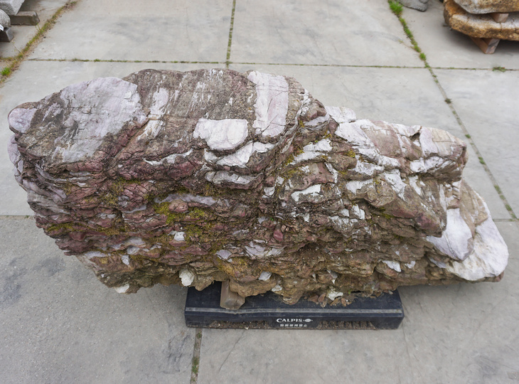 Akairo Ketsugan Stone, Japanese Ornamental Rock - YO06010559