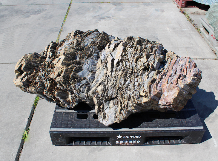 Akairo Ketsugan Stone, Japanese Ornamental Rock - YO06010590