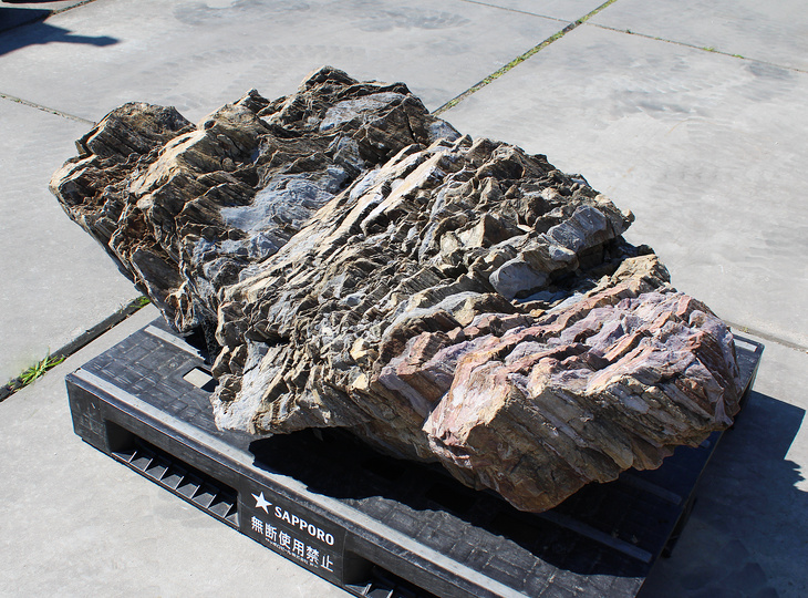 Akairo Ketsugan Stone, Japanese Ornamental Rock - YO06010590