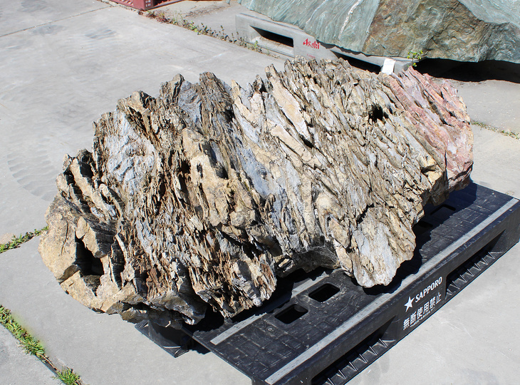 Akairo Ketsugan Stone, Japanese Ornamental Rock - YO06010590