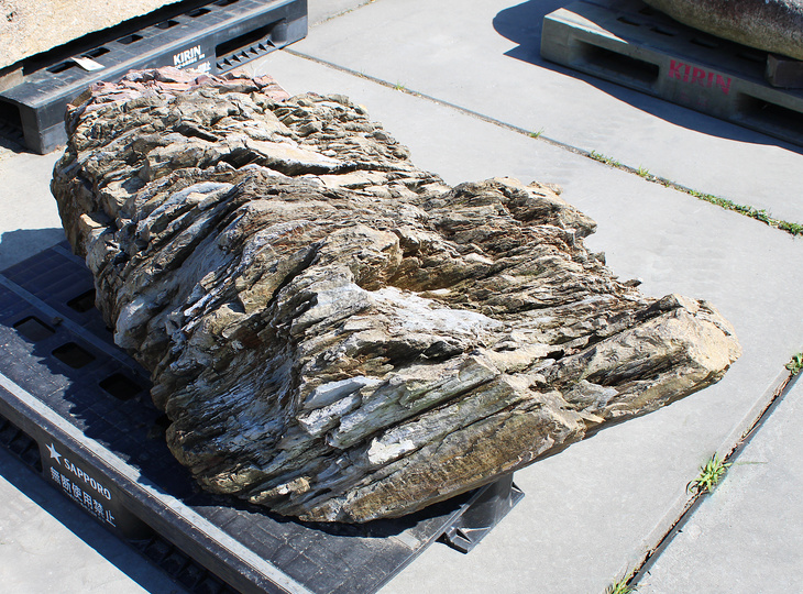 Akairo Ketsugan Stone, Japanese Ornamental Rock - YO06010590