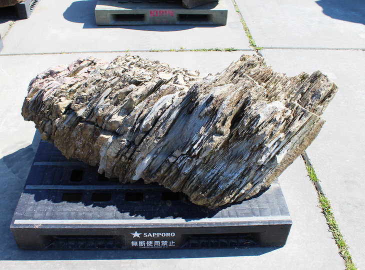 Akairo Ketsugan Stone, Japanese Ornamental Rock - YO06010590